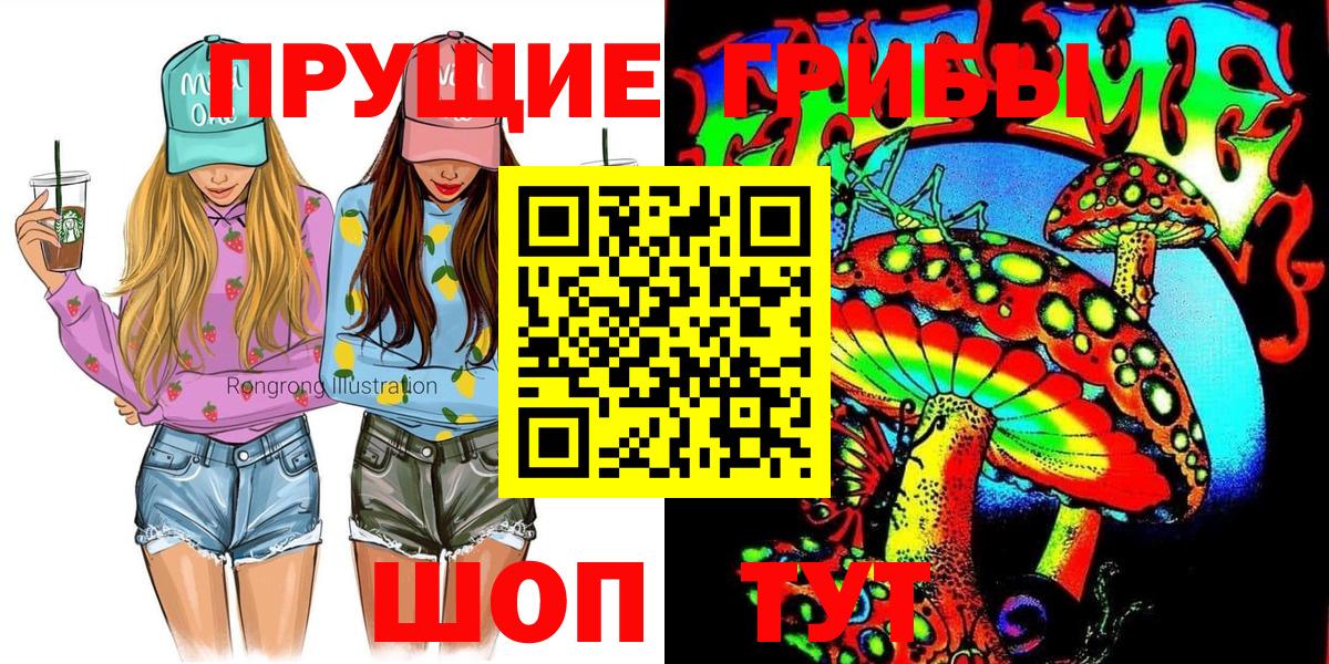 Нурлат  Псилоцибиновые грибы Psilocybe  Вход с VPN 