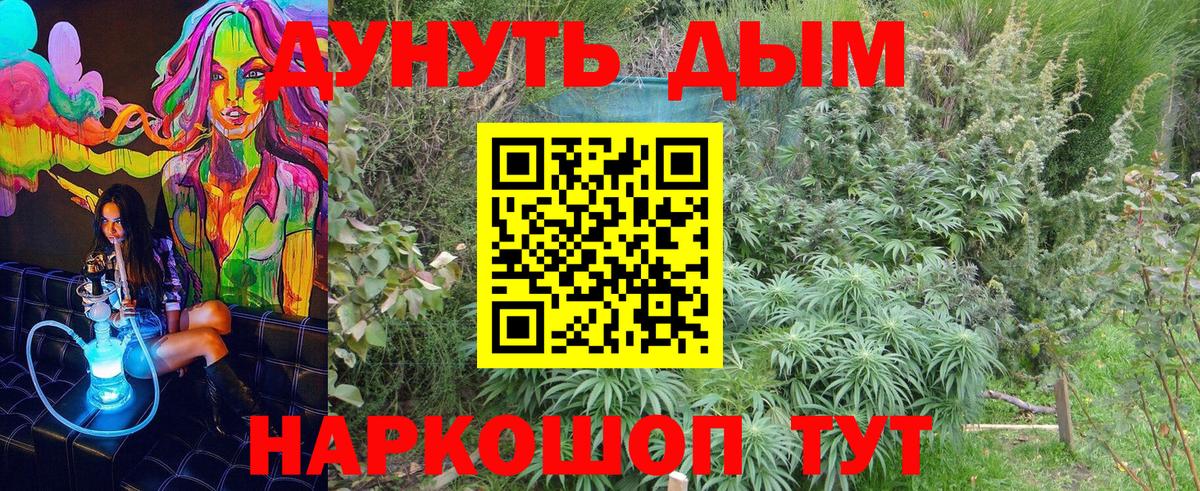 Бошки Шишки гибрид Нурлат